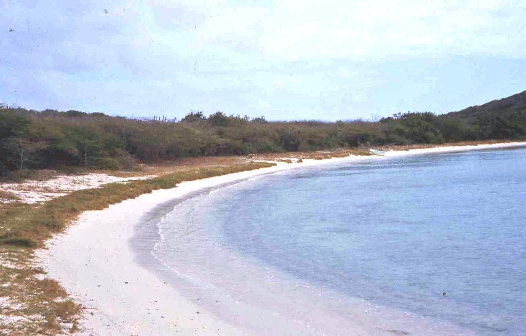 Salt Pond Bay1.jpg